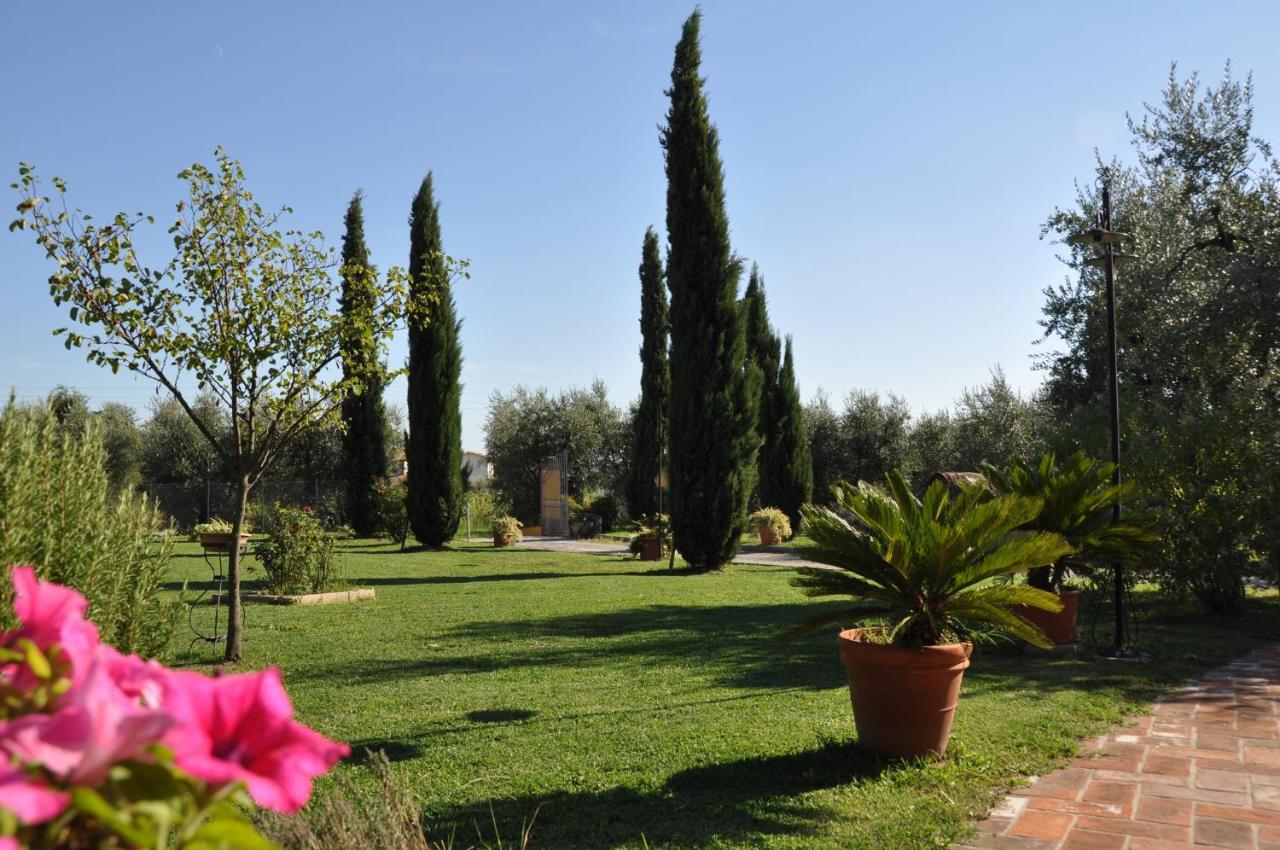 Apartamento Tori 2 Montecarlo