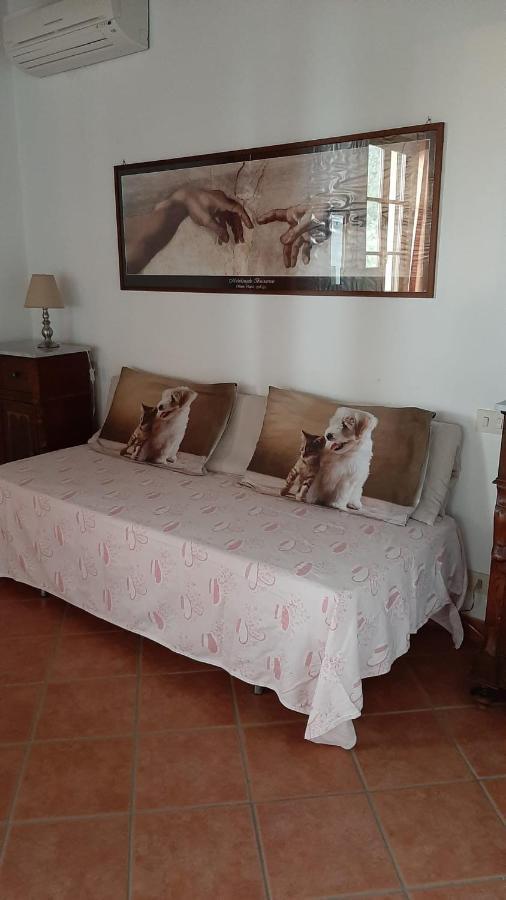 Tori 2 Apartamento Montecarlo